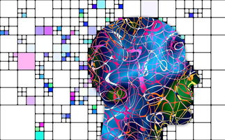 华体会真人体育娱乐-中超联赛技术分析与规则优化，中超联赛技术分析与规则优化论文