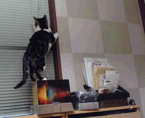 hth最新入口-德甲球队高强度对抗中体能消耗与失误关系研究，德甲水平